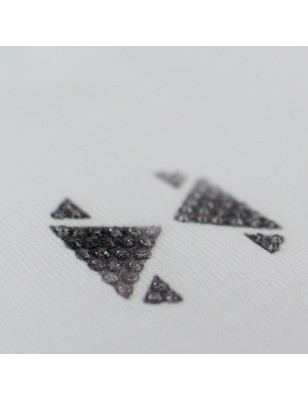T-SHIRT SLIM VOLPE