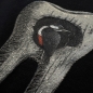 T-SHIRT REGULAR DONNA - MOLARE PICCHIO